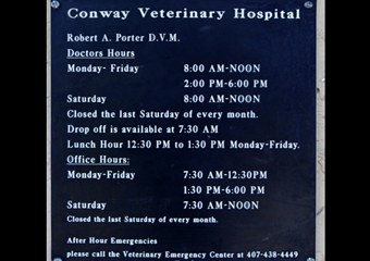 pet friendly veterinarian in orlando conway veterinary hospital