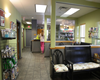 pet friendly vet in orlando conway veterinary hospital