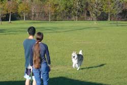 dog park orlando