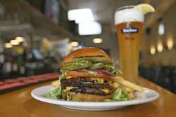 Orlando pet friendly restaurant: cinco de mayo